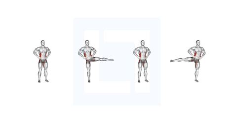 Image result for Contralateral Leg Raise