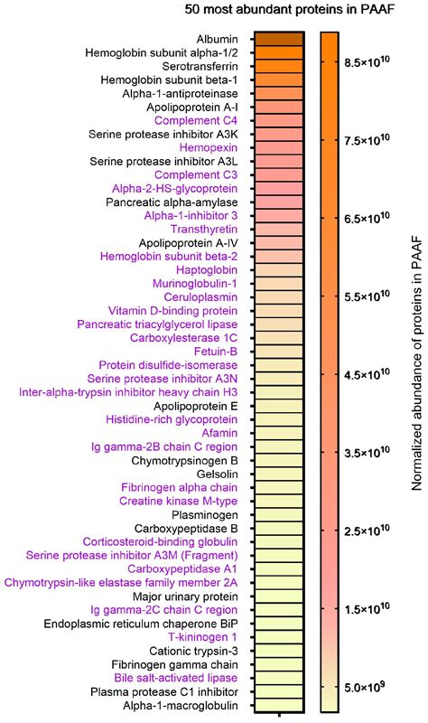 The Microenvironment in an Experimental Model of Acute Pancreatitis Can ...