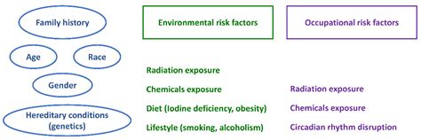 Thyroid Cancer Diagnostics Related to Occupational and Environmental Risk Factors: An Integrated ...