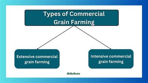 Commercial Grain Farming: Methods and Benefits - iEduNote.com
