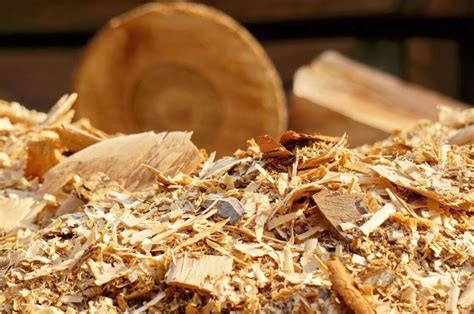 The Importance of Wood Waste Disposal in India's Furniture Industry ...