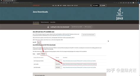 Java Installer and Runner 的图像结果