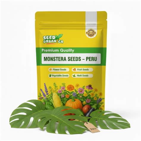 Monstera Seeds – Peru