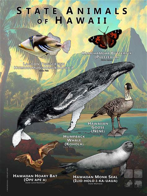 Hawaii State Animals Poster Print