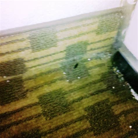 MOTEL 6 NEWARK, DE - Prices & Hotel Reviews