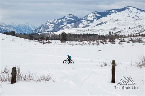 Image result for Auto Cascade Loop