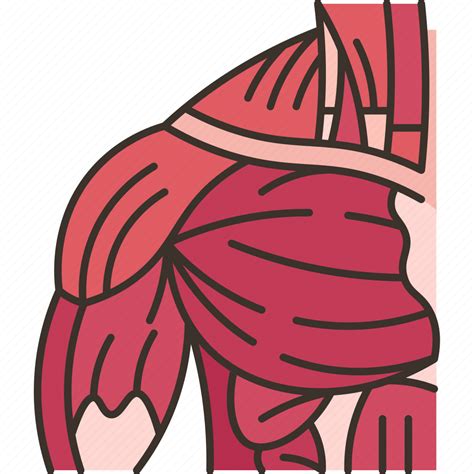 Shoulder Exercise Icon 的图像结果