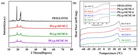 Enhanced Electrochemical Performance of PEO-Based Composite Polymer ...