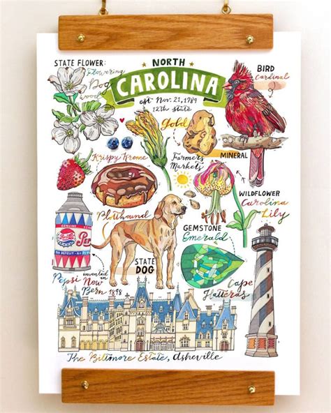 North Carolina Print, State Symbols, Illustration, State Art, Cardinal ...