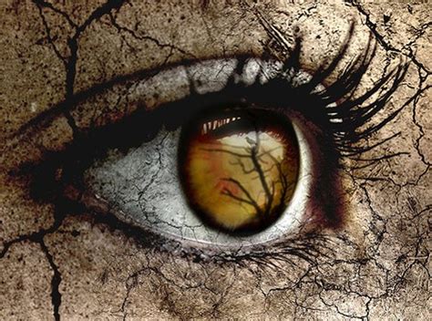 curiosity leads...: BEAUTIFULLY PHOTOSHOPED