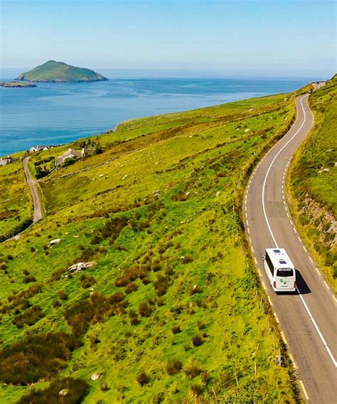 Local Link Logo 的图像结果