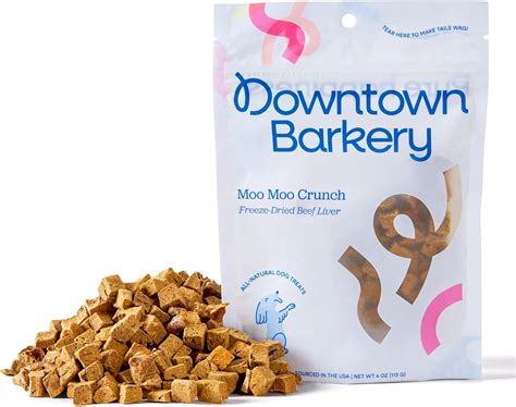 Amazon.com : Downtown Barkery Freeze Dried Dog Treats - Single ...