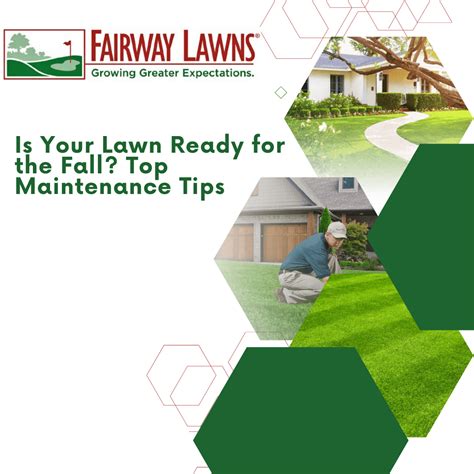 Fall Lawn Maintenance Tips | Fairway Lawns