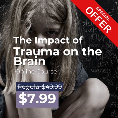 Image result for Trauma Brain Development