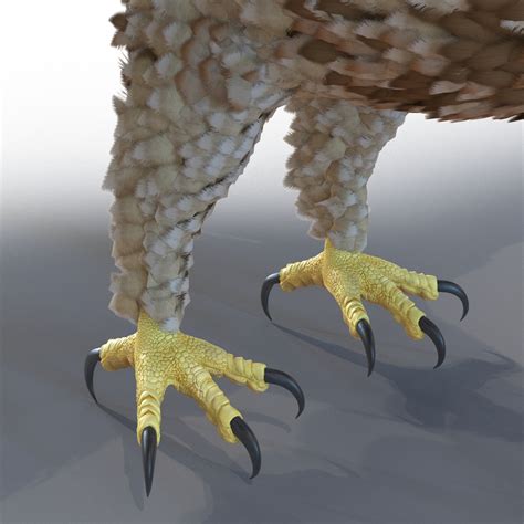 Gurney Eagle Rigged 3D model | 3D Molier International