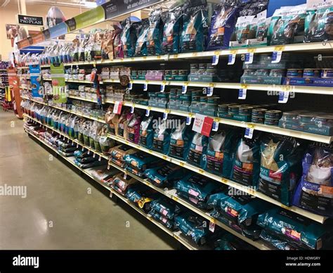 Pet Supplies From Petsmart at Aaron Copeley blog