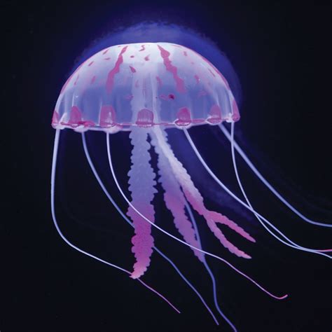 JP London CNVSQM2386 Gallery Wrap Canvas 2In Thick Heavyweight Gallery ...