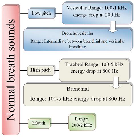 Acoustic-Based Deep Learning Architectures for Lung Disease Diagnosis ...