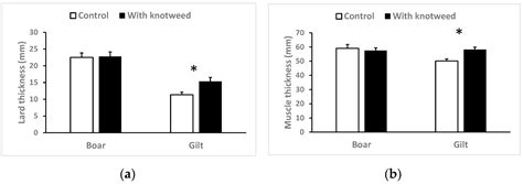 Effect of Knotweed in Diet on Physiological Changes in Pig
