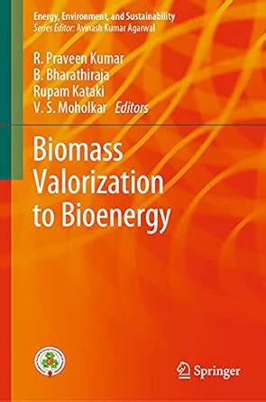 Buy Biomass Valorization to Bioenergy Book Online at Low Prices in ...