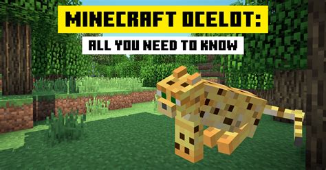 What Do The Ocelots Eat In Minecraft at Donald Blanton blog