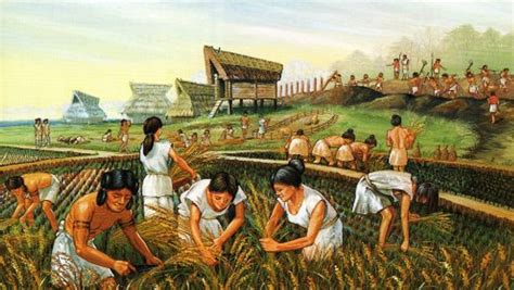 Neolithic Revolution Examples 的图像结果