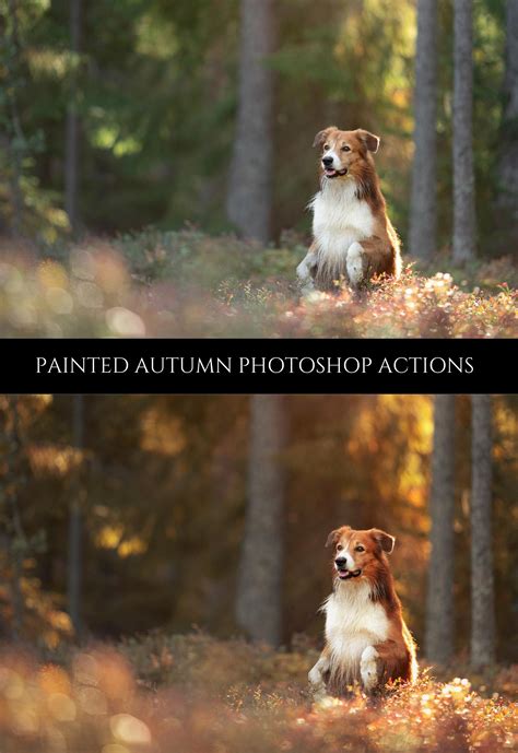 Painted Autumn Photoshop Actions Warm Photo Effect Photo Retouching ...