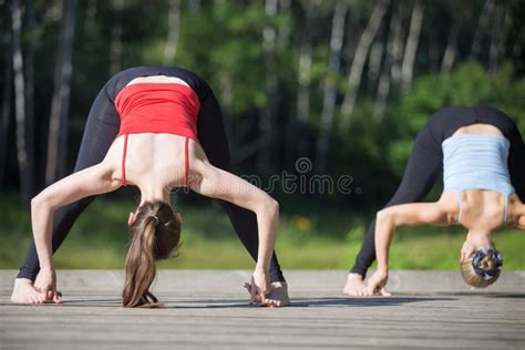 Image result for Straddle Tf