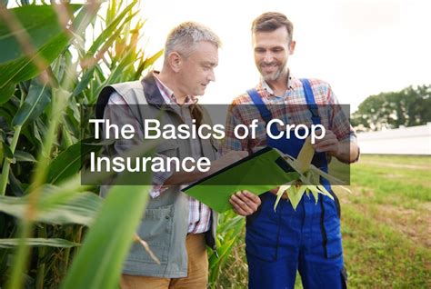 Crop Insurance MathWorks 的图像结果