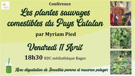 Conférence "les plantes sauvages comestibles du pays Catalan" par ...
