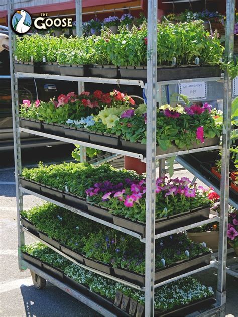 The Goose Community Grocer - 14485 WA-525, Langley, WA 98260 - Hours ...