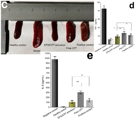 Preparation of Calcipotriol Emulsion Using Bacterial Exopolysaccharides ...