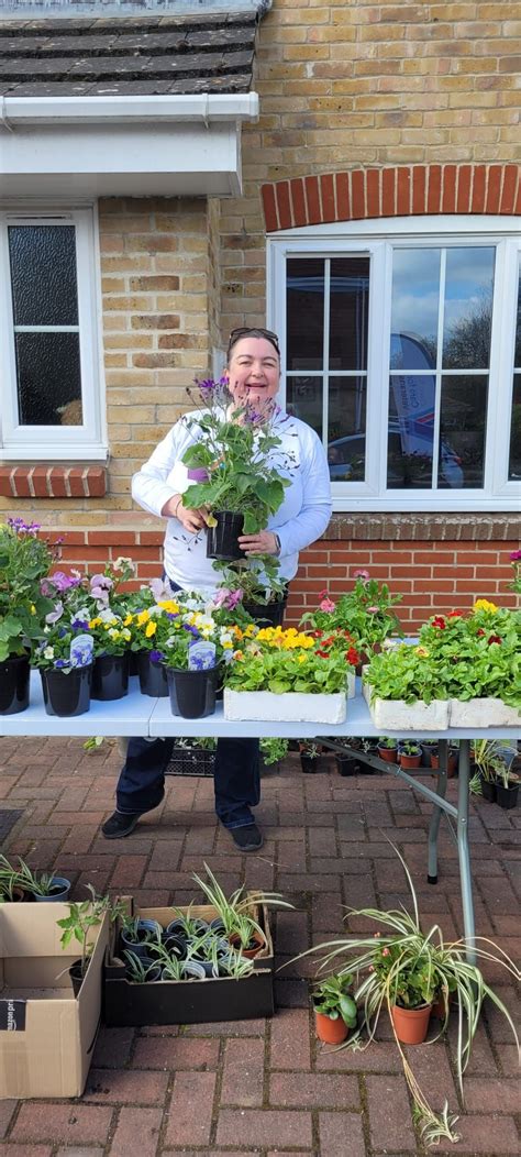 Plant and Cake sale in aid of St Wilfrids Hospice , 35 May Close ...