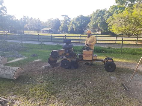 Stump Grinding Service | Tree Stump Removal Service Pasco Fl