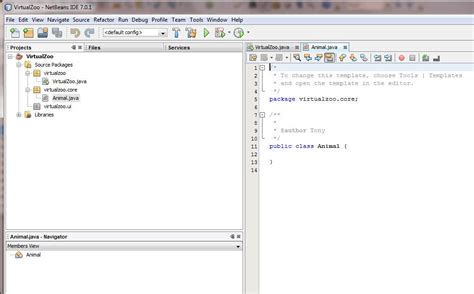 Image result for NetBeans Java Example