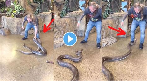 Python Attacking Human 的图像结果