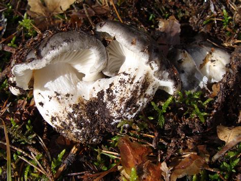 Imágen de la noticia