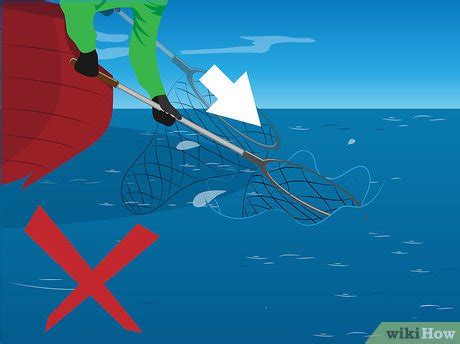 Fish Net Tips and Tricks 的图像结果