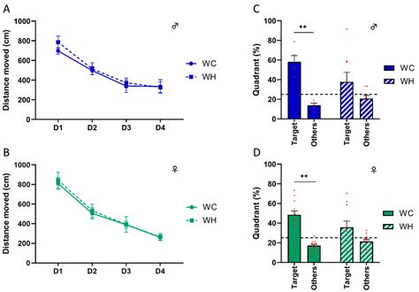 Multi-Omics Data Integration Reveals Sex-Dependent Hippocampal ...