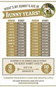 Image result for Baby Rabbit Age Chart