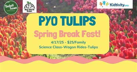 PYO Tulips Spring Break Fest!, The Old Cider Mill Fall Festival ...