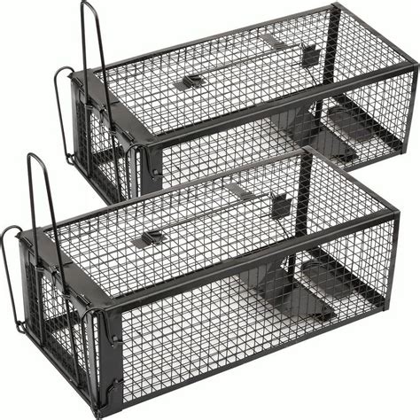 Traps for Chipmunks Home Depot 的图像结果
