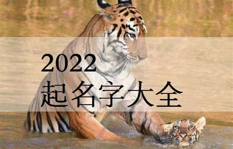 DSwiss Malaysia - = 🐁属鼠2022年整体运势 🐁=... | Facebook