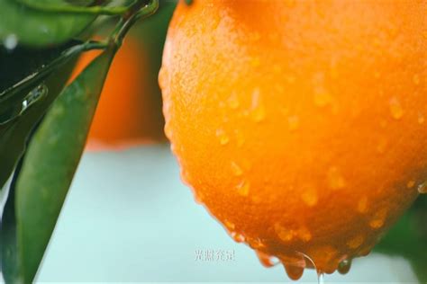 湖南麻阳冰糖橙55-60果径 5斤装【水果上新】