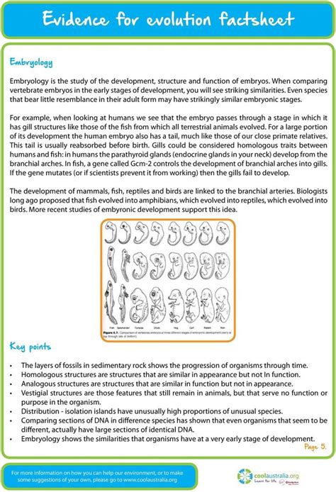Evidence for Evolution Worksheet 的图像结果