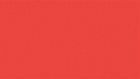 Contact The Bear House - Customer Support and Inquiries – bearhouseindia