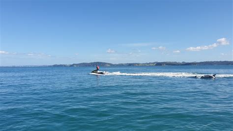 Hibiscus JetSki Hire & Tours | Activities & Day Trips in Auckland, New ...
