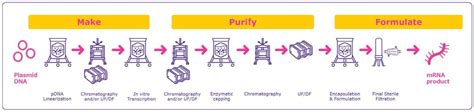 mRNA 백신 및 치료제를 위한 제조 전략