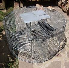 annunci gabbia gabbia quot larsen quot per corvidi modello larsen marca altro annunci gabbia gabbia quot larsen quot per corvidi modello larsen marca altro