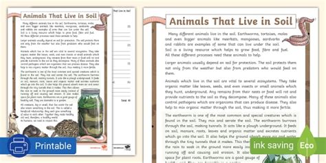 Animals that Live in Soil- Comprehension